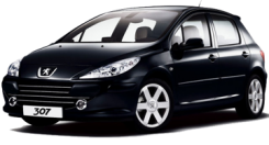 PEUGEOT 307 1,6